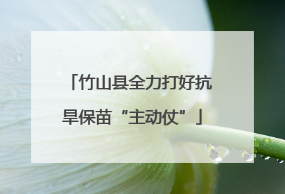 竹山县全力打好抗旱保苗“主动仗”