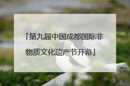 第九届中国成都国际非物质文化遗产节开幕