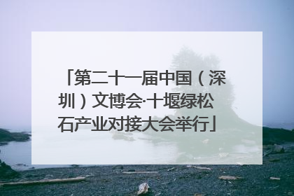 第二十一届中国（深圳）文博会·十堰绿松石产业对接大会举行