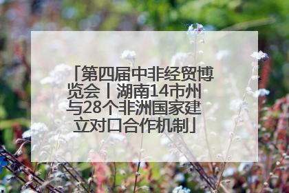 第四届中非经贸博览会丨湖南14市州与28个非洲国家建立对口合作机制
