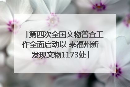 第四次全国文物普查工作全面启动以 来福州新发现文物1173处