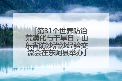 第31个世界防治荒漠化与干旱日，山东省防沙治沙经验交流会在东阿县举办