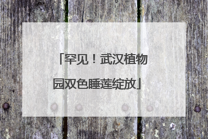 罕见！武汉植物园双色睡莲绽放