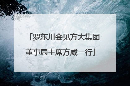 罗东川会见方大集团董事局主席方威一行