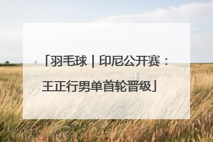 羽毛球｜印尼公开赛：王正行男单首轮晋级