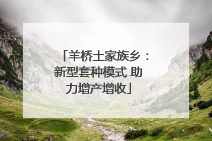 羊桥土家族乡：新型套种模式 助力增产增收