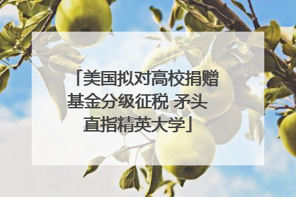 美国拟对高校捐赠基金分级征税 矛头直指精英大学