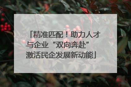 精准匹配！助力人才与企业“双向奔赴” 激活民企发展新动能