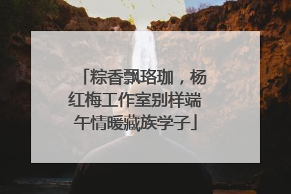 粽香飘珞珈，杨红梅工作室别样端午情暖藏族学子