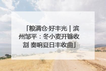 粮满仓·好丰光｜滨州邹平：冬小麦开镰收割 奏响夏日丰收曲