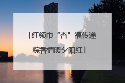 红领巾“杏”福传递 粽香情暖夕阳红