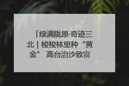 绿满陇原·奇迹三北｜梭梭林里种“黄金” 高台治沙致富很“从容”