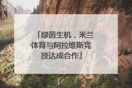 绿茵生机，米兰体育与阿拉维斯竞技达成合作