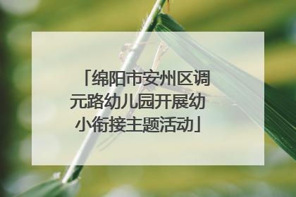 绵阳市安州区调元路幼儿园开展幼小衔接主题活动
