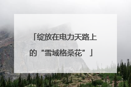 绽放在电力天路上的“雪域格桑花”