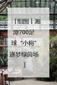 组图丨湘潭700足球“小将”逐梦绿茵场