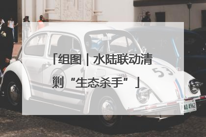 组图｜水陆联动清剿“生态杀手”