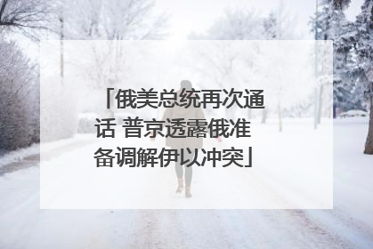 俄美总统再次通话 普京透露俄准备调解伊以冲突