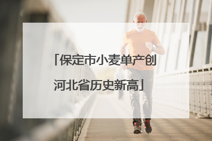 保定市小麦单产创河北省历史新高