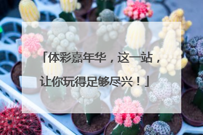 体彩嘉年华，这一站，让你玩得足够尽兴！