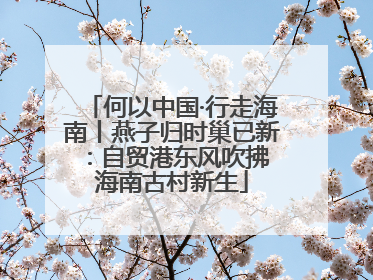 何以中国·行走海南丨燕子归时巢已新：自贸港东风吹拂 海南古村新生
