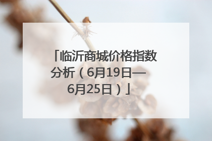 临沂商城价格指数分析（6月19日—6月25日）