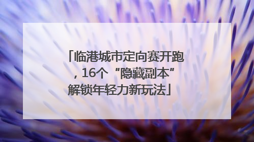 临港城市定向赛开跑，16个“隐藏副本”解锁年轻力新玩法