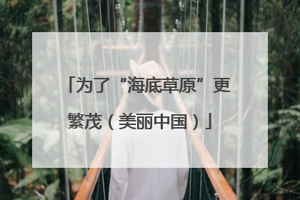 为了“海底草原”更繁茂（美丽中国）
