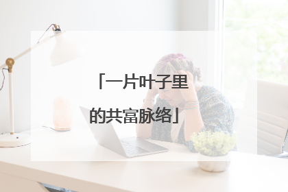一片叶子里的共富脉络