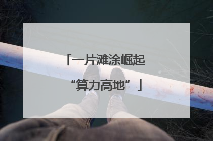 一片滩涂崛起“算力高地”
