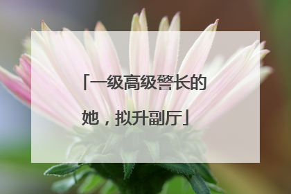 一级高级警长的她，拟升副厅