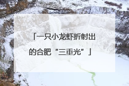 一只小龙虾折射出的合肥“三重光”