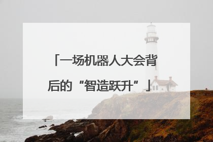 一场机器人大会背后的“智造跃升”