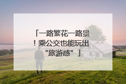 一路繁花一路景！乘公交也能玩出“旅游感”