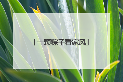 一颗粽子看家风