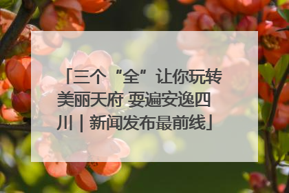 三个“全”让你玩转美丽天府 耍遍安逸四川｜新闻发布最前线