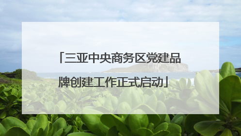 三亚中央商务区党建品牌创建工作正式启动