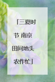 三夏时节 南京田间地头农作忙