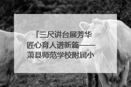 三尺讲台展芳华 匠心育人谱新篇——萧县师范学校附属小学第十三届班主任基本功大赛圆满举办