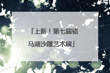 上新！第七届骆马湖沙雕艺术展