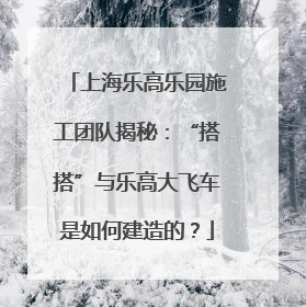 上海乐高乐园施工团队揭秘：“搭搭”与乐高大飞车是如何建造的？