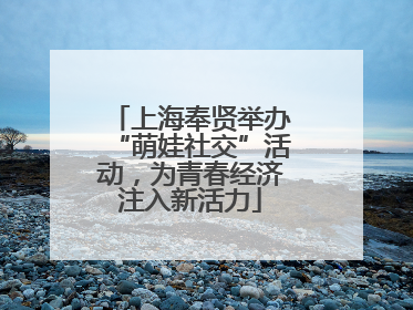 上海奉贤举办“萌娃社交”活动，为青春经济注入新活力
