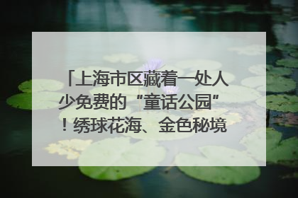 上海市区藏着一处人少免费的“童话公园”！绣球花海、金色秘境……地铁直达→