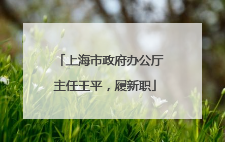 上海市政府办公厅主任王平，履新职