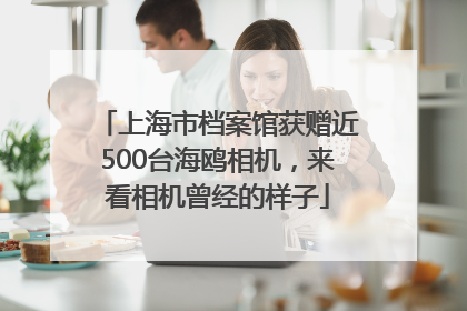 上海市档案馆获赠近500台海鸥相机，来看相机曾经的样子