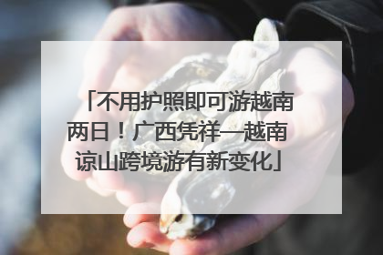 不用护照即可游越南两日！广西凭祥—越南谅山跨境游有新变化
