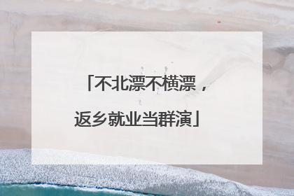 不北漂不横漂，返乡就业当群演