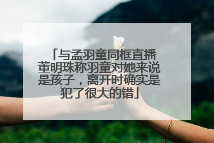 与孟羽童同框直播 董明珠称羽童对她来说是孩子，离开时确实是犯了很大的错