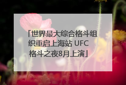世界最大综合格斗组织重启上海站 UFC格斗之夜8月上演