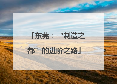 东莞：“制造之都”的进阶之路